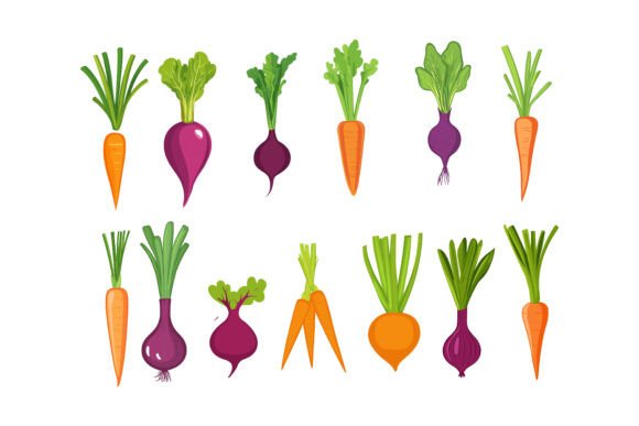 The Definitive Collection of Taproot Vegetables in Vector Illustration